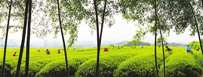 擦亮“生態”名片 無錫走出“綠色”變遷之路 