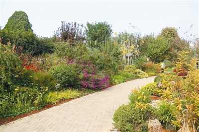 專家之聲:中國花境崛起從何入手?