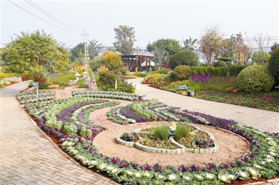 專家之聲:中國花境崛起從何入手?