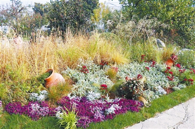 專家之聲:中國花境崛起從何入手?