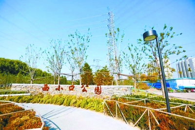 北京海淀：最大違建群變生態公園