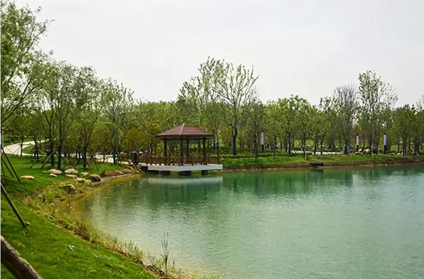 再傳捷報(bào)！第十屆園冶杯市政園林大獎(jiǎng)佳作云集