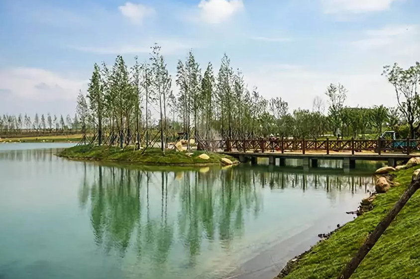 再傳捷報(bào)！第十屆園冶杯市政園林大獎(jiǎng)佳作云集