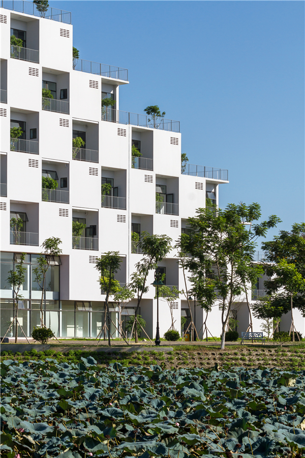 越南FPT大學(xué)行政樓設(shè)計(jì)：混凝土建筑中的綠色體驗(yàn)