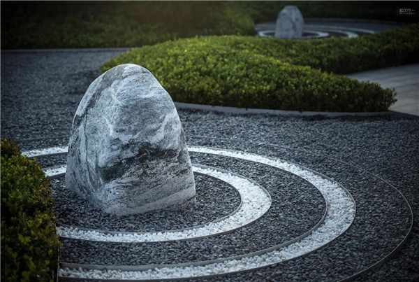 回歸初心，因“和”而來——南海·雁歸來