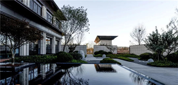 回歸初心，因“和”而來——南海·雁歸來