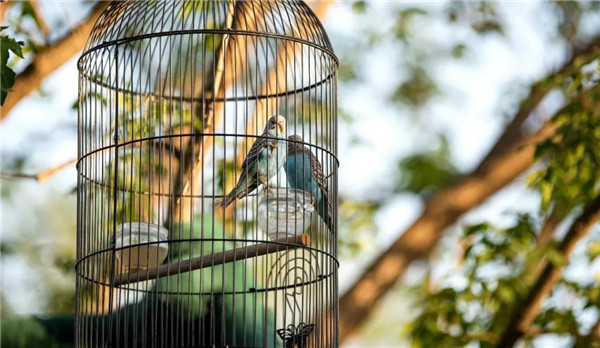  山水比德丨北京保利和悅春風