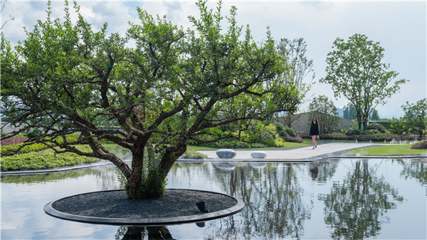 希爾景觀|紹興寶能·藏瓏府