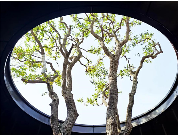 帝奧設(shè)計(jì)丨中梁·時(shí)代江來(lái)——半城江水，半城詩(shī)歌