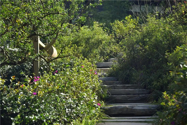 景虎景觀丨官塘小村·宅里