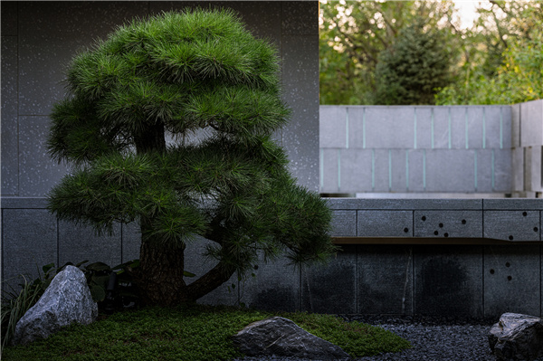 甲南園林丨龍灣某別墅花園設計