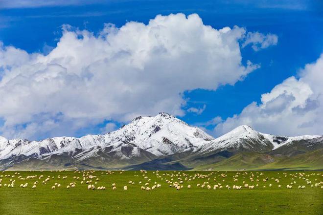 我國公布第一批12處“紅色草原”名單