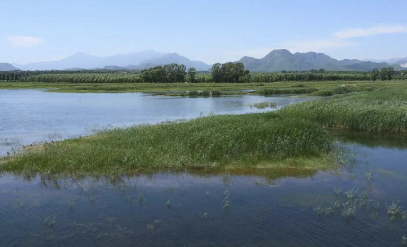 北京大熊貓公園，要來了！