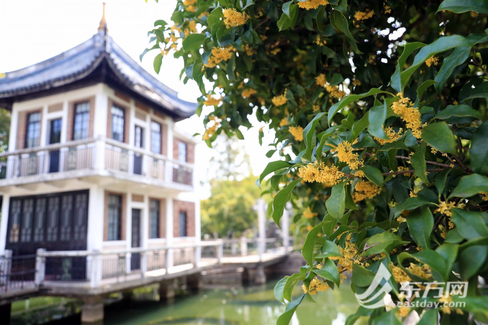 上海桂林公園修繕回歸重登“顏值巔峰”