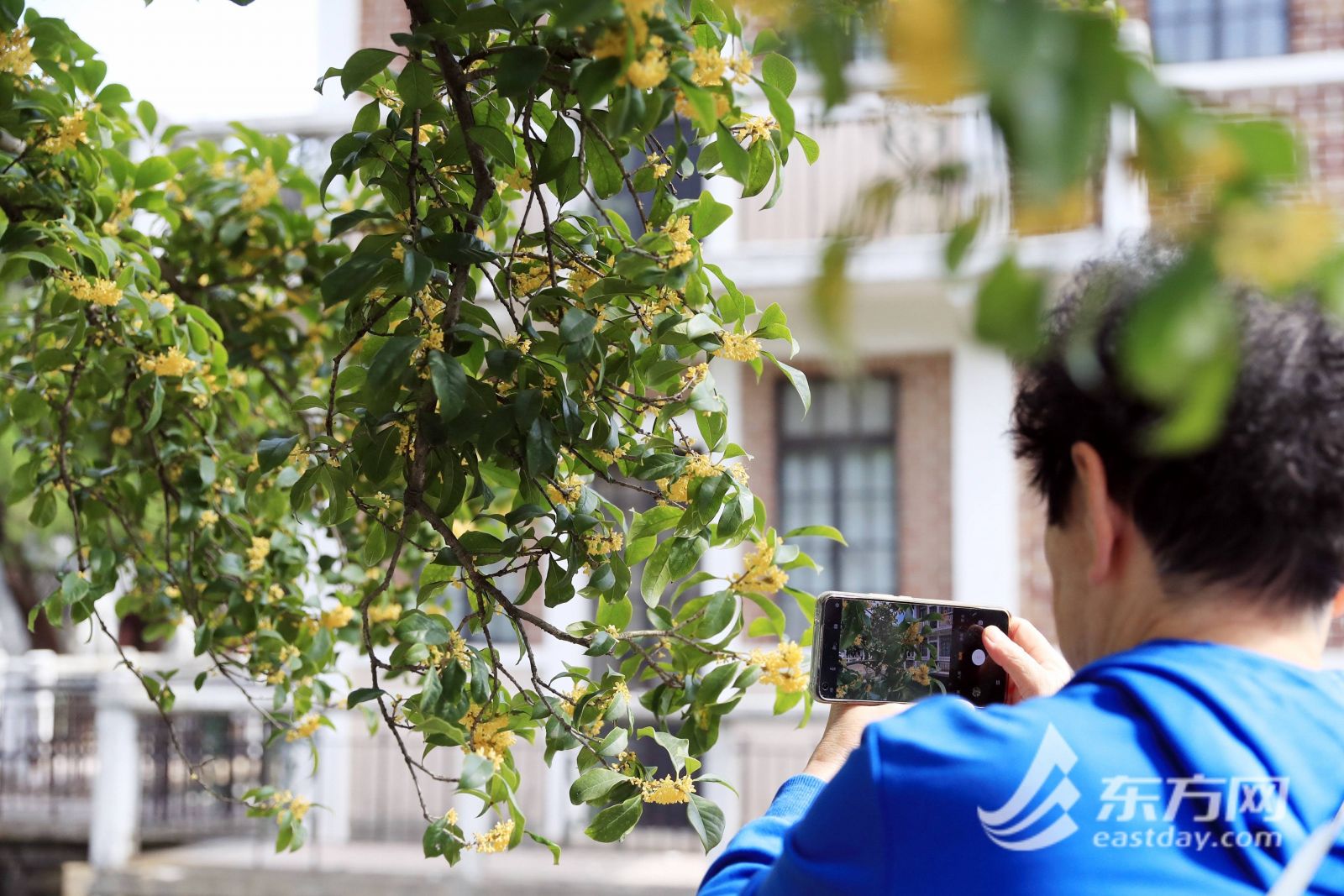 上海桂林公園修繕回歸重登“顏值巔峰”