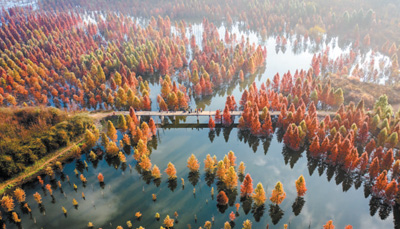 讓大美濕地增進民生福祉