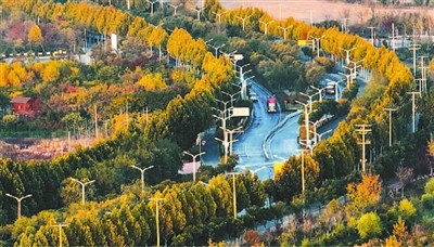 中國(guó)履行《濕地公約》30周年成果卓著