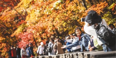 推窗見綠 出門入園 “森林城市”見證好生態