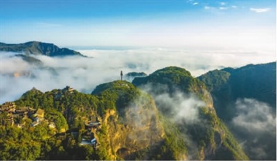 推窗見綠 出門入園 “森林城市”見證好生態