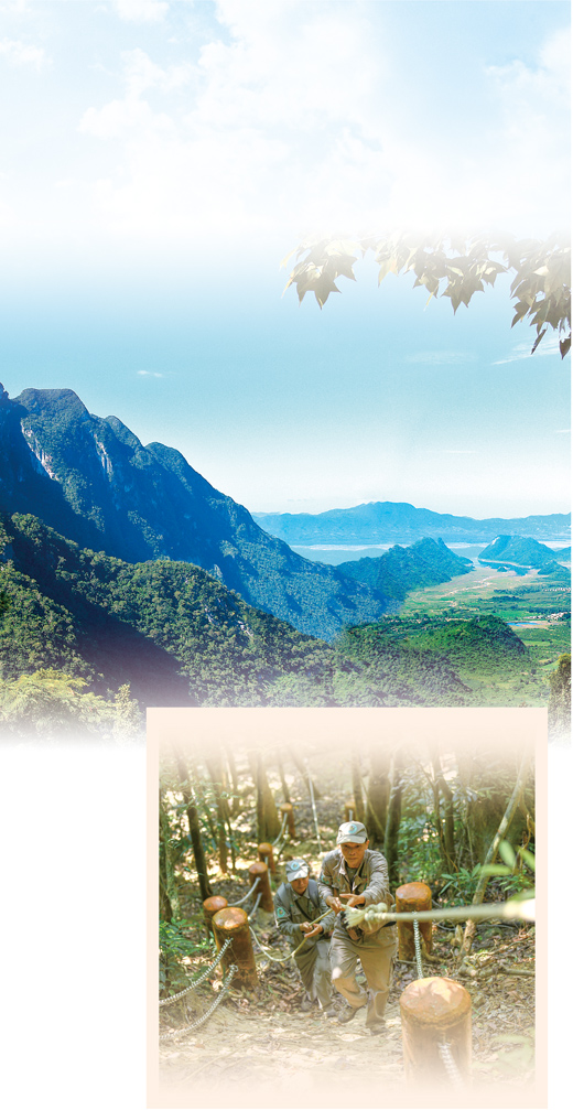 海南熱帶雨林國家公園：推進生態(tài)搬遷、修復雨林生態(tài)