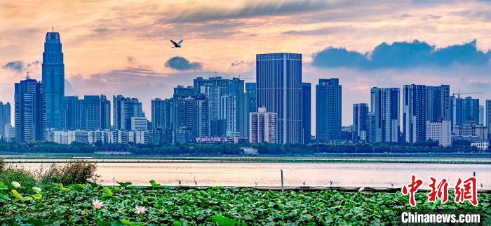 武漢將開展“城市更新年”行動提升功能品質