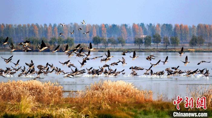 武漢將開展“城市更新年”行動提升功能品質