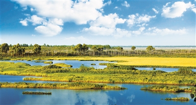 中國國際重要濕地生態狀況總體穩定