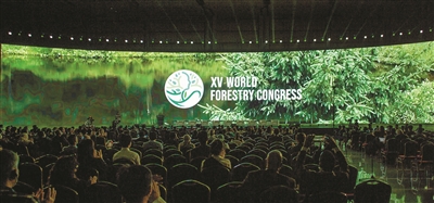 2022年世界林草十大關(guān)注熱點(diǎn)