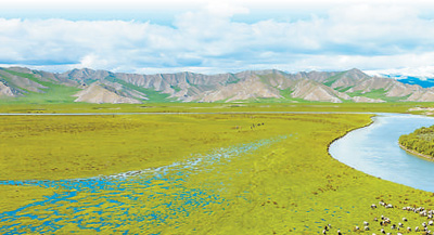 草原多樣性“多”在哪里？