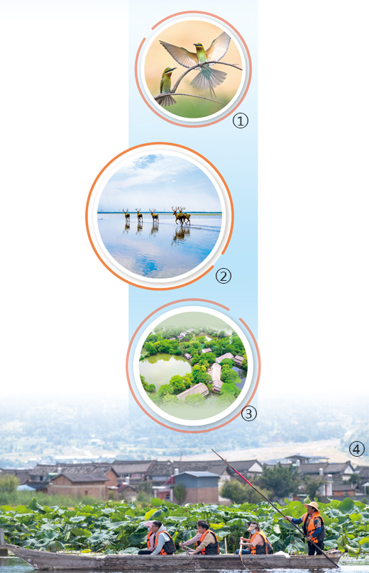 初步建立濕地保護體系 中國推動濕地保護事業高質量發展