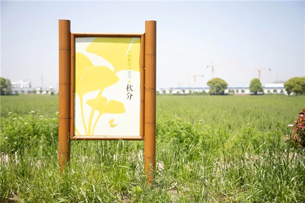 平介設(shè)計(jì)丨震澤“五美三優(yōu)”鄉(xiāng)村景觀改造