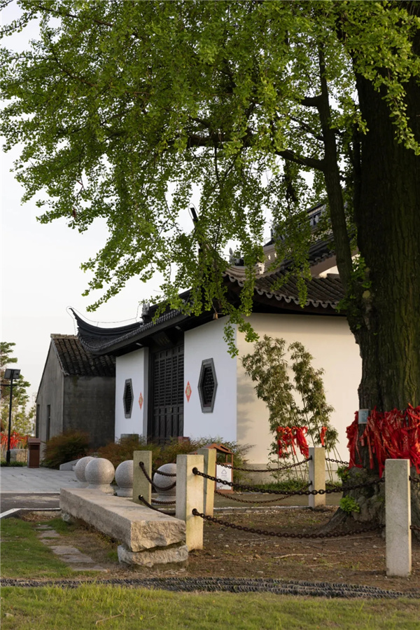 平介設(shè)計(jì)丨震澤“五美三優(yōu)”鄉(xiāng)村景觀改造