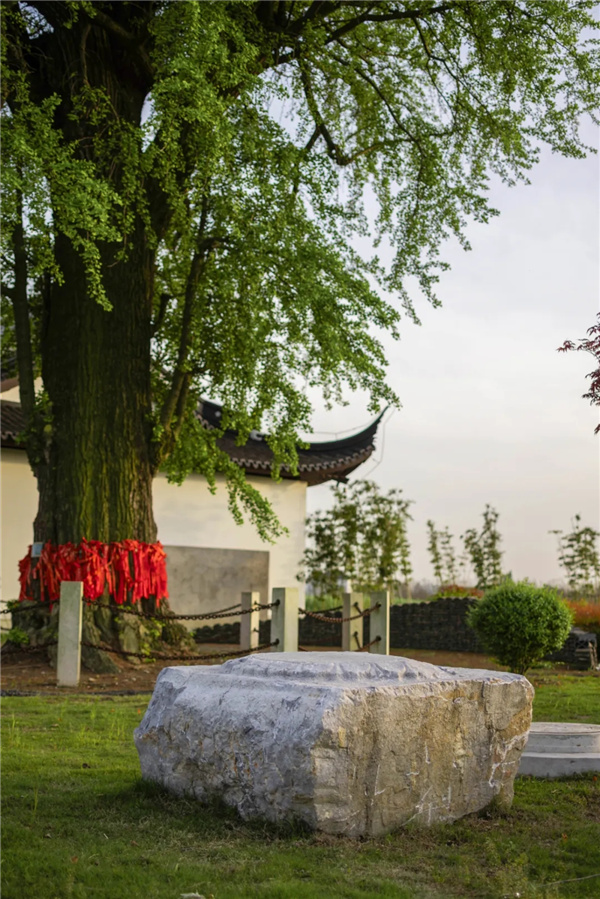 平介設(shè)計(jì)丨震澤“五美三優(yōu)”鄉(xiāng)村景觀改造