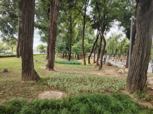 關于開展2025年北京延慶“花園城市”設計競賽的通知