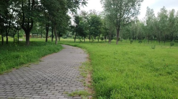 關于開展2025年北京延慶“花園城市”設計競賽的通知