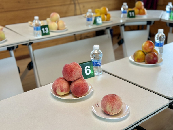 碩果飄香·豐涵海淀 | 北京舉辦鮮桃擂臺賽系列活動