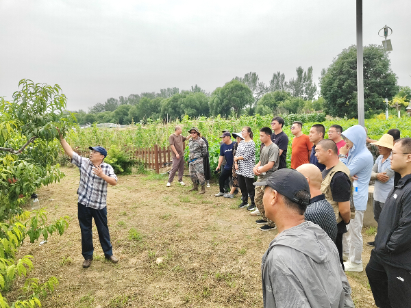 碩果飄香·豐涵海淀 | 北京舉辦鮮桃擂臺賽系列活動