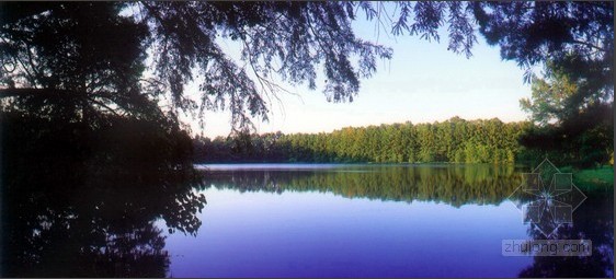 綠化 設(shè)計(jì) 景觀