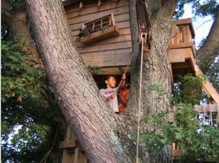 綠化 景觀 設計