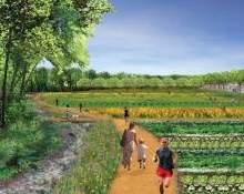 美國湯姆里德景觀設計之PARK MERCED案例展示