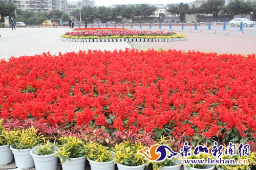 樂山廣場一片喜慶