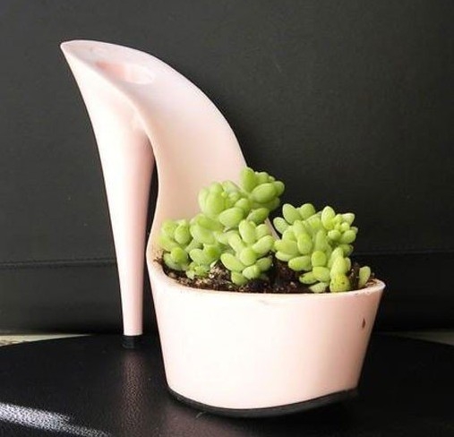 創意獨特的高跟鞋盆栽散發出女性特有的魅力