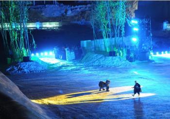 春節(jié)游玩好去處 各地冰雪節(jié)活動盤點(多圖)