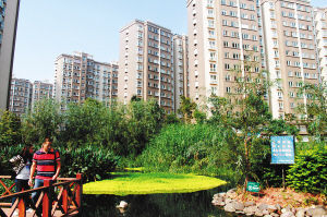 專家組正在檢查小區(qū)景觀綠化用水情況。