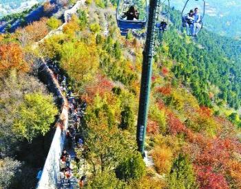 官方稱黃葉也算變紅 揭香山紅葉真相(圖)