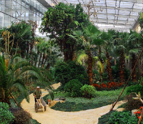 河北：保定生態園添新彩 90余種熱帶植物入駐植物館