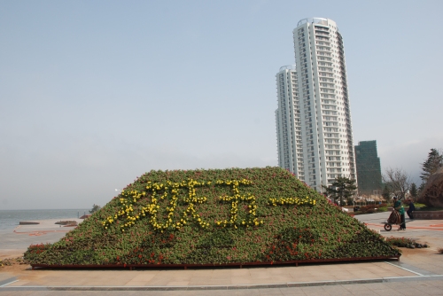 山東榮成：立體花架首次亮相城區濱海公園