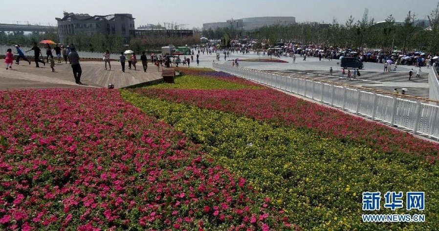 北京:加大城市綠化工作 鮮花扮靚城市生活