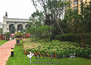 住宅景觀獎：會展城上城一期園林景觀工程