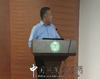 胡海波：理想瀾灣主題景觀營造